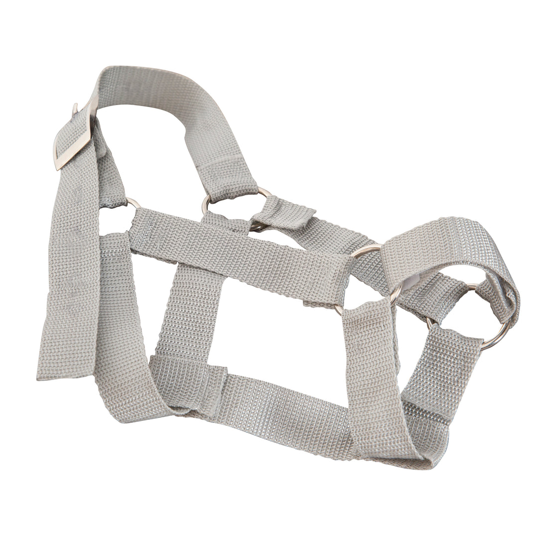 Set de accesorios para caballos de juguete para exterior 'roba Style' - Manta y cabestro - Gris