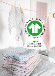 Set de regalo orgánico Baby Essentials 'Lil Planet' gris plateado hecho de algodón orgánico, GOTS, sostenible