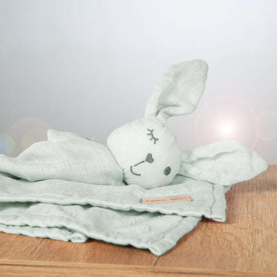 Organic Cuddly Cloth 'Lil Planet' Frosty Green, 40 x 40 cm, Muslin & Jersey, GOTS Certified