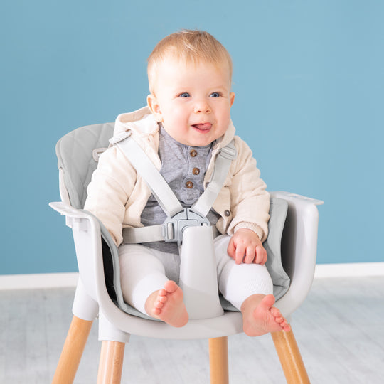 2-in-1 High Chair & Children's Chair 'Style Up Wood' Including Seat Padding in Grey