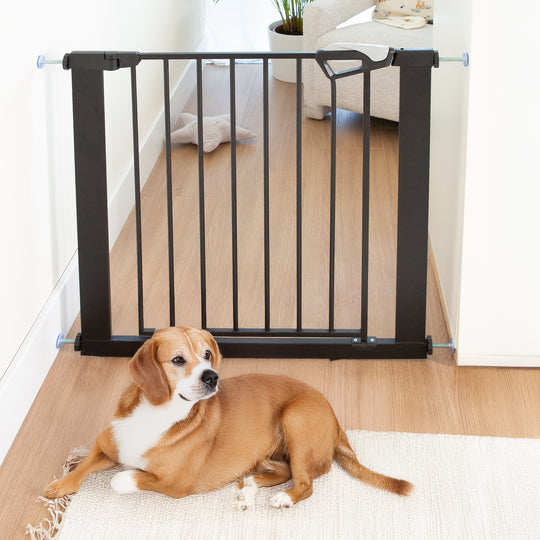 EasySafe+ Barrière de sécurité pour porte et escalier - Largeur 75-82 cm - Extensible jusqu'à 110 cm - Noir