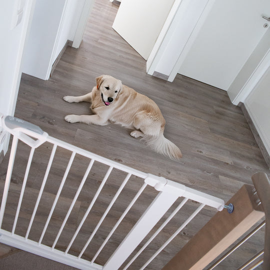 EasySafe+ Door & Stair Gate - Width 75-82 cm - Extendable up to 110 cm - White