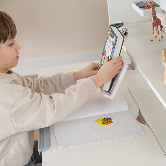 Accessorio da scrivania: organizer per scrivanie Smart Grow