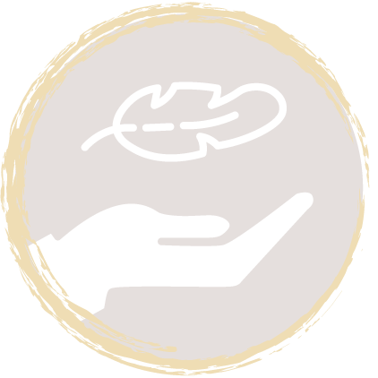 Bouton pour caractéristiques – Berceaux cododo – Facile d’entretien – Jaune / Beige