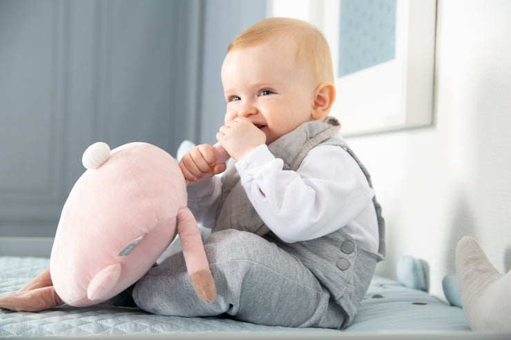 Kuschelkissen 'Lil Cuties', Kuscheltier 'Benny' mit Freundschaftskarte, Hellblau/Sky